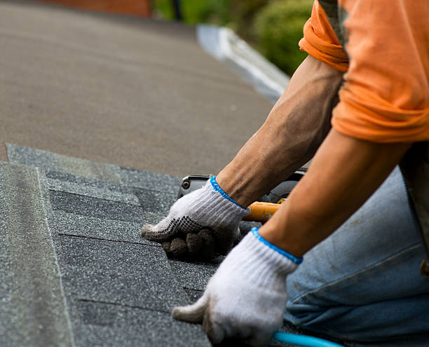 Quick and Trustworthy Emergency Roof Repair Services in Toledo, OR