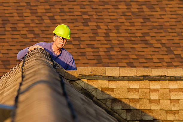 Best Metal Roofing Contractor  in Toledo, OR