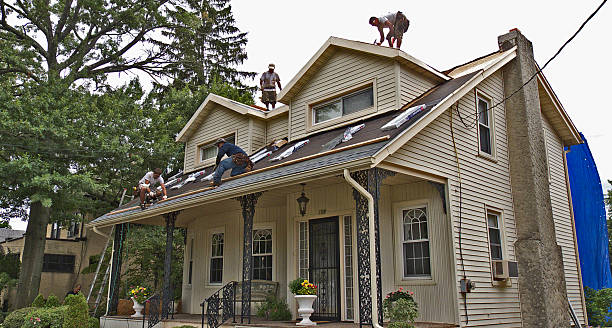 Best Roof Leak Repair  in Toledo, OR