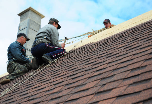 Best Slate Roofing Contractor  in Toledo, OR