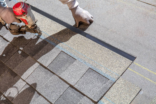 Best Roofing Contractor Near Me  in Toledo, OR